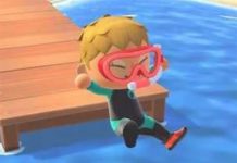 동물 교차점에서 잠수복을 입고 수영하고 다이빙하는 방법 : 새로운 지평