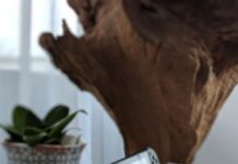 Nintendo Switch 사용자 프로필을 삭제하는 방법 | 새로운 2020!