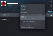 Steam에서 오프라인으로 표시하는 방법 | QUICK & NEW 2020 튜토리얼!