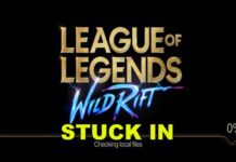 와일드 리프트가 로컬 파일 확인에 멈춤 Android 10