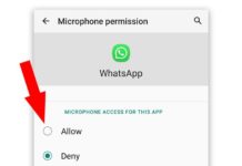화상 통화 중 WhatsApp 마이크가 작동하지 않음