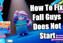 Fall Guys가 시작되지 않는 문제를 해결하는 방법