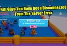 서버 오류에서 연결이 끊어진 Fall Guys를 수정하는 방법