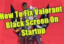 시작시 Valorant Black Screen을 수정하는 방법