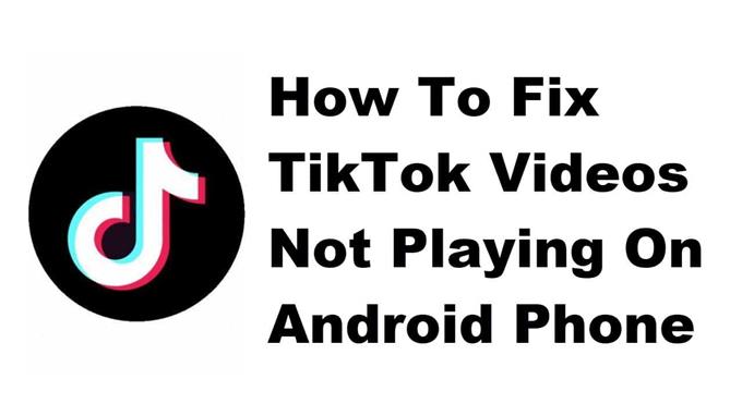 So beheben Sie TikTok-Videos, die nicht auf Android-Telefonen abgespielt werden