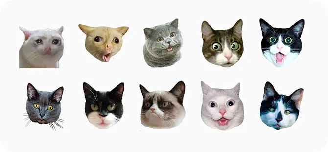 De mest älskade katterna på internet i Skärmdump av den här appen