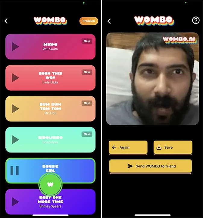 wombo- pratande fotoappar