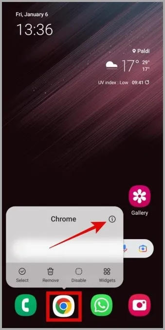 Android에서 Chrome 앱 정보 열기