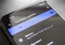 Pixel 5에서 숨겨진 개발자 옵션 메뉴를 활성화하는 방법